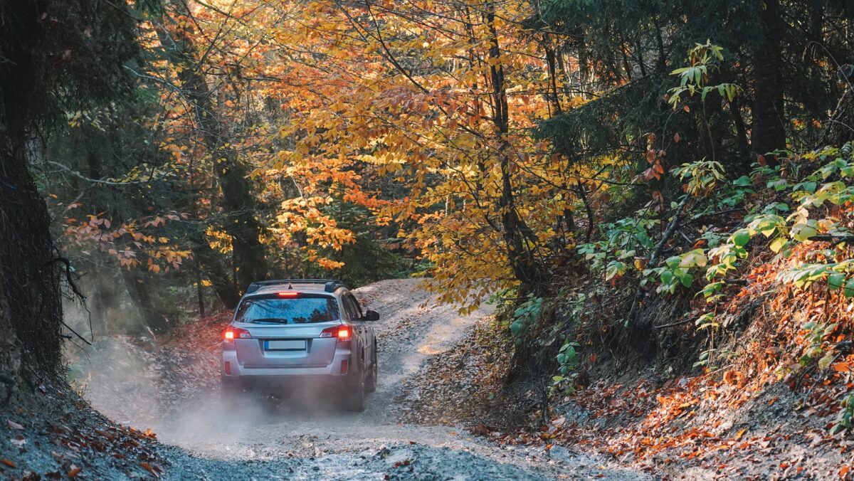SUV 4x4 czy terenówka? Wybór idealnego auta na polskie drogi.